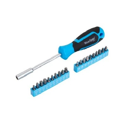 21 Piece Blue Spot Tools 12634 Screwdriver & Bit Set